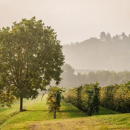 Clementina - Prosecco Country Bed & Breakfast San Pietro Di Feletto