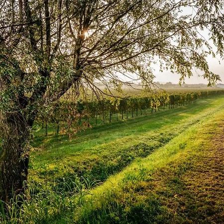 Clementina - Prosecco Country Bed & Breakfast 3*