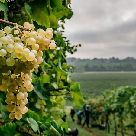 Clementina - Prosecco Country Bed & Breakfast