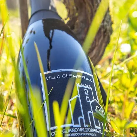 לינה וארוחת בוקר Clementina - Prosecco Country San Pietro Di Feletto
