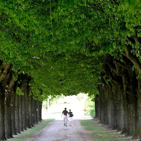 Bed & Breakfast Clementina - Prosecco Country 3*
