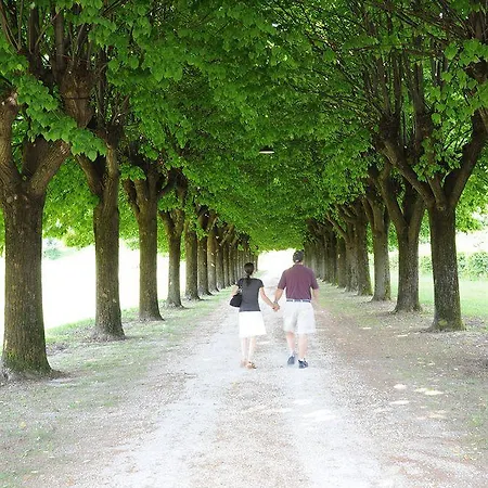 Clementina - Prosecco Country Bed & Breakfast
